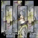 Thinking'_Of''_You'