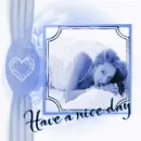 Have_A_Nice_DAY