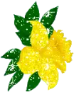 yelow flower