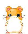 cute hamster