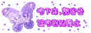 cute violet butterfly with a crown