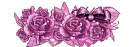 cute violet flowers