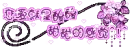 cute violet flowers