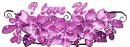 cute violet flowers