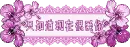 cute violet flowers