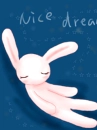 sleeping bunny