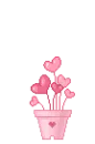 pot of heart flowers