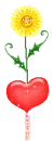 love flower