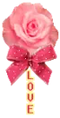 love rose ribbon