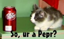 Dr Pepper