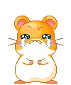 cute hamster crying