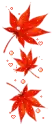 fall
