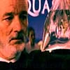 the life aquatic with steve zissou