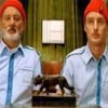 the life aquatic with steve zissou