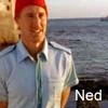 the life aquatic with steve zissou
