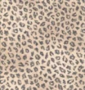 Leopard Print