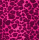 Pink Leopard Print