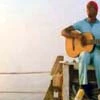 the life aquatic with steve zissou