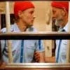 the life aquatic with steve zissou