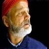 the life aquatic with steve zissou
