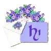 Hi