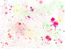Paint splatters