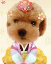 kawaii puppy