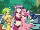 mew mews