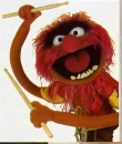 Animal-muppets