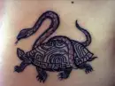 Tortoise & Snake