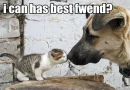 will you be my best fwiend?