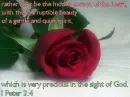 I Peter 3:4