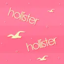 Hollister