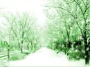 snow
