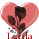 Lucila heart and black roseXD