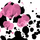 black splats and flower petals