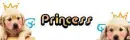 Princess, puppy!!