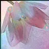 Sparkly Flower
