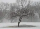 solitude