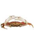 PINCHING CRAB