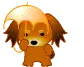cute dog