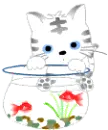 cute kitty