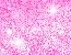 sparkle stars