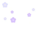 purple flowers