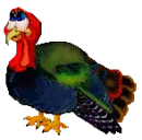 Turkey