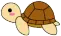 little turttle