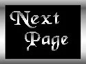 Next Page