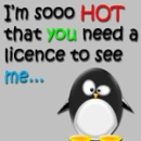 cool penguin