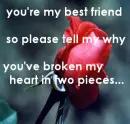 you broke my heart