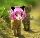 zoey/ichigo